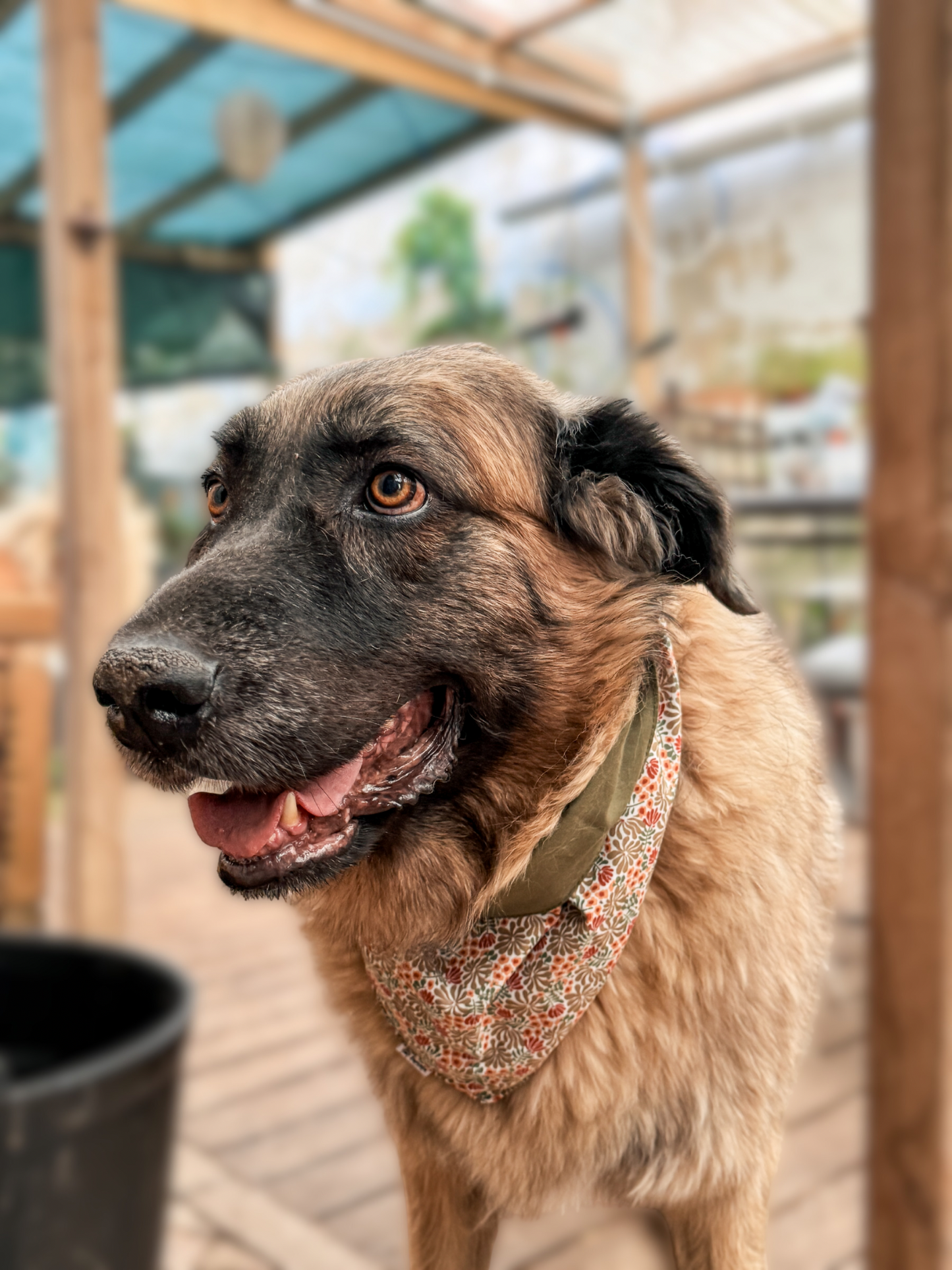 Bandana Flores de Outono
