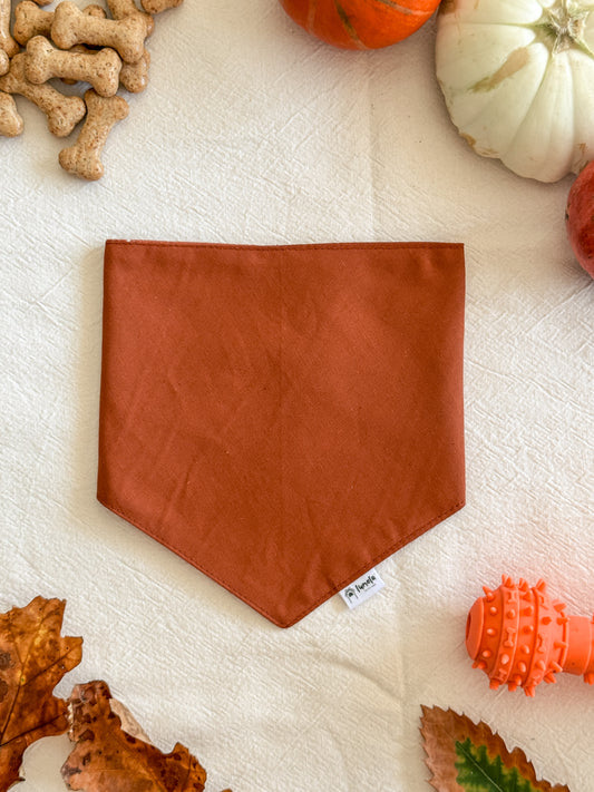 Bandana Folhas de Outono