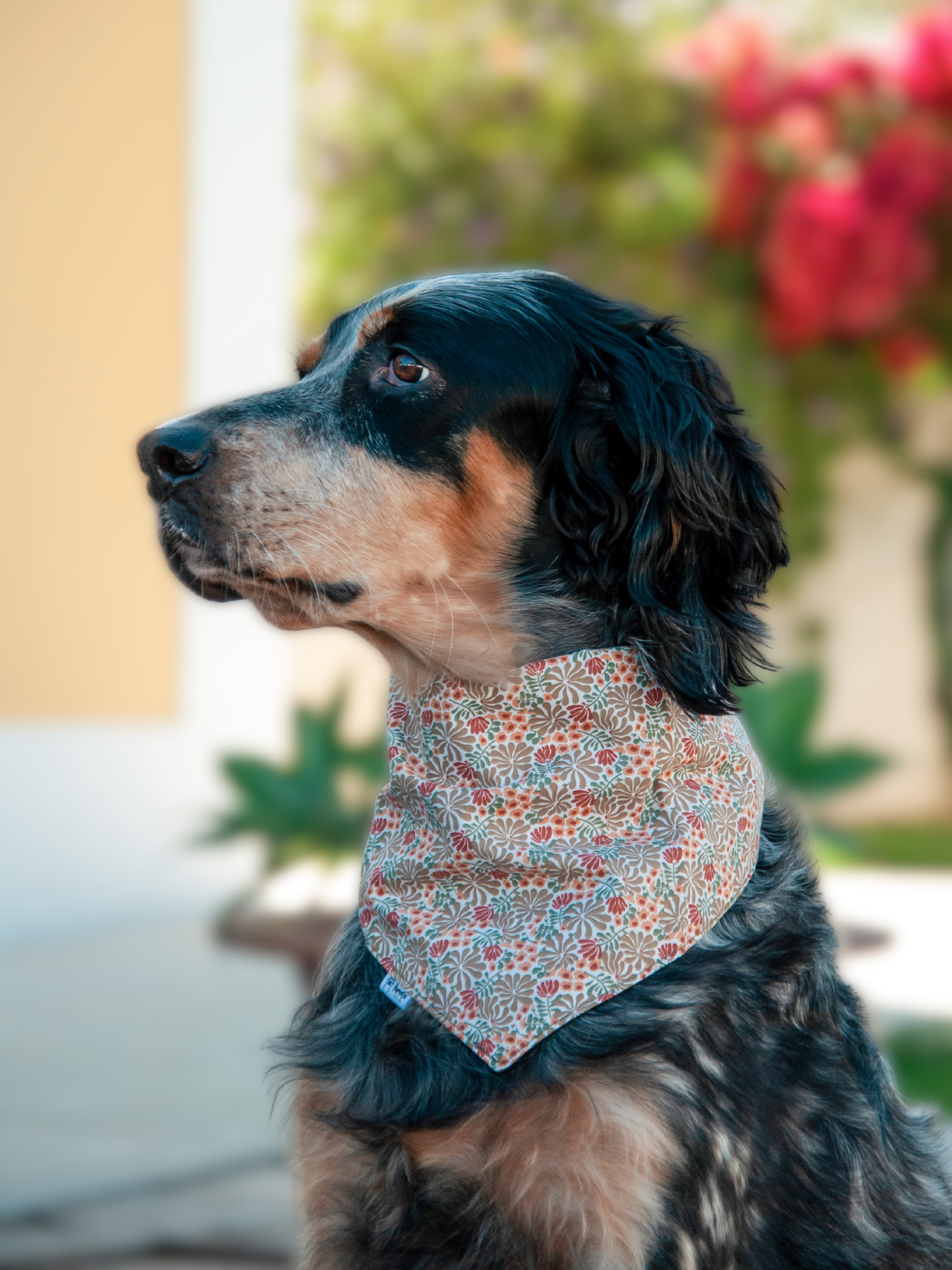 Bandana Flores de Outono