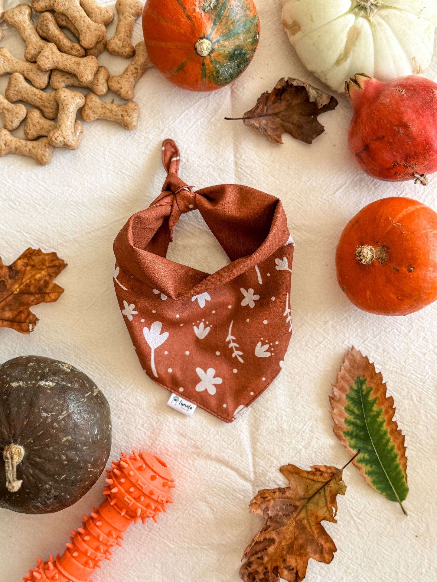 Bandana Folhas de Outono