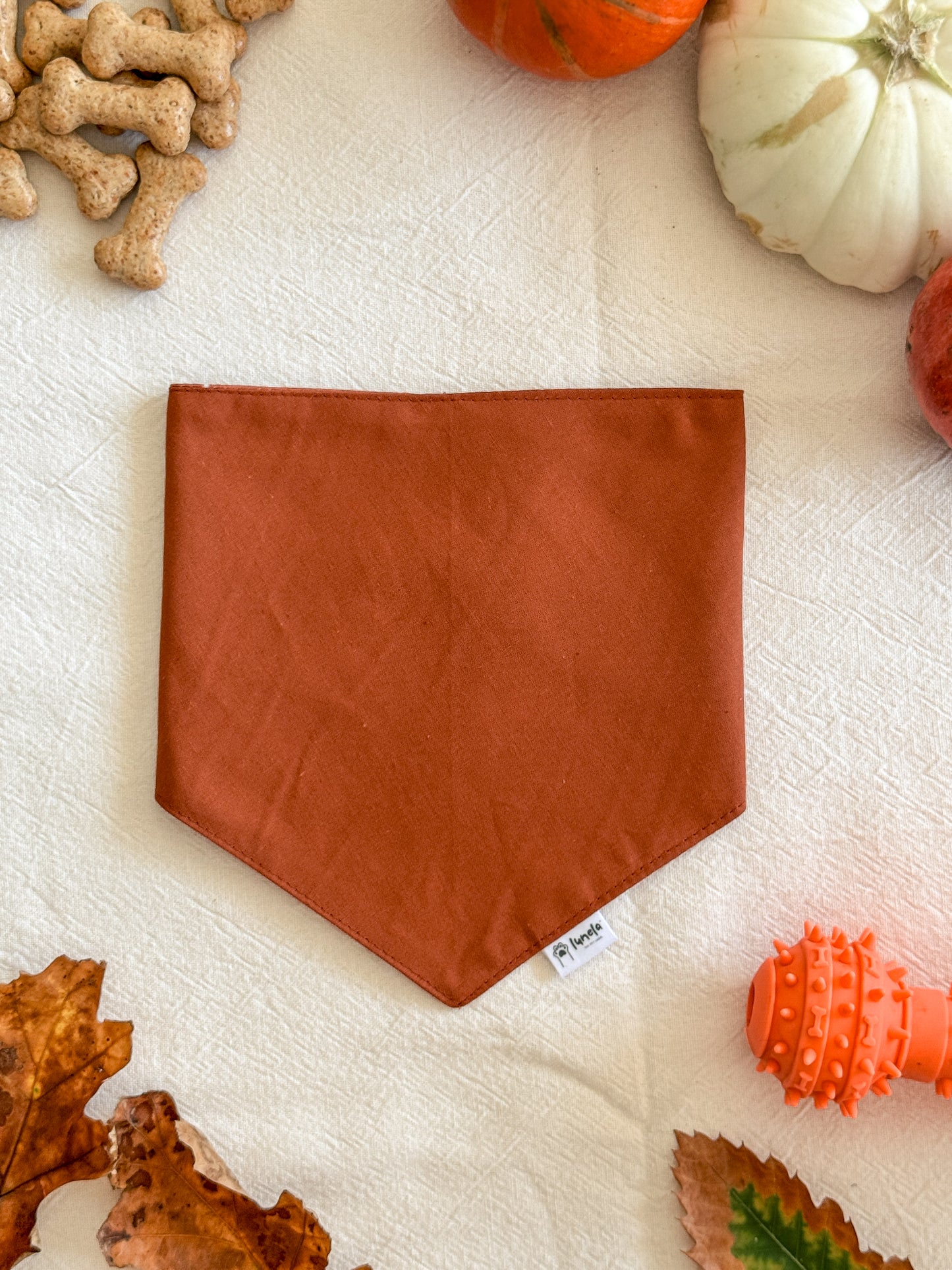Bandana Folhas de Outono