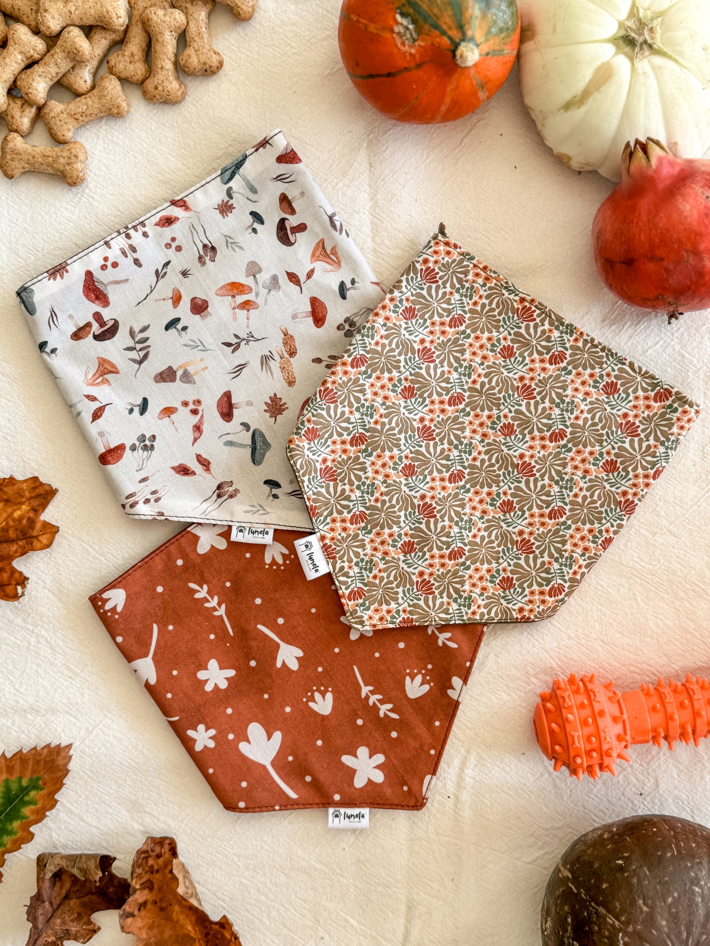 Bandana Folhas de Outono